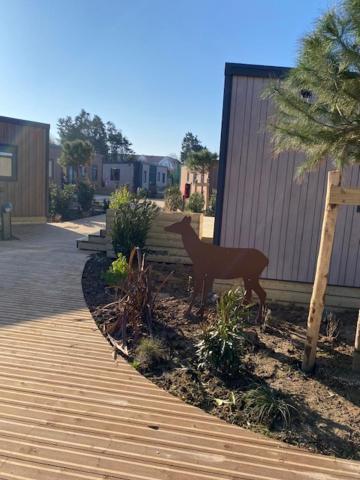 Camping De La Mer Camiers Exteriör bild